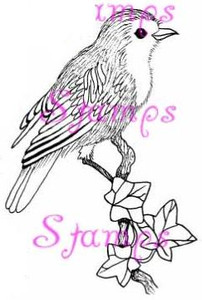 Large Bird on Branch