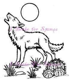 Southwestern Wolf