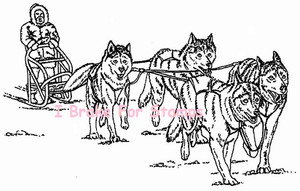 Dog Sledding (front)