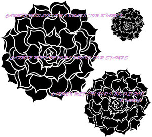 Echeveria Succulent Solid Set