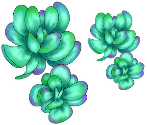 Jade Succulent Outline Set art rubber stamp