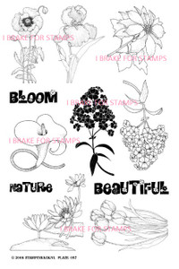 Florals and Words Sheet 1
