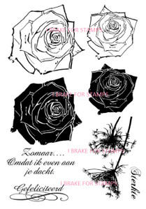 Roses and More 1