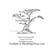 Bonsai Tree Small Art Rubber Stamp TTS112-04