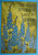 Wildflowers Spring Summer Floral, words,  art rubber stamps SB148B