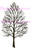 Large Bare Tree