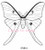 Luna Moth - Large