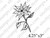 Poinsettia Holiday Flower Art Rubber Stamp Pam Bray Designs SC48-3