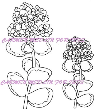 Seibold Succulent Outline Set rubber stamp