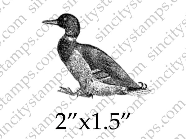 Duck Wildlife Bird Rubber Stamp SC74-3