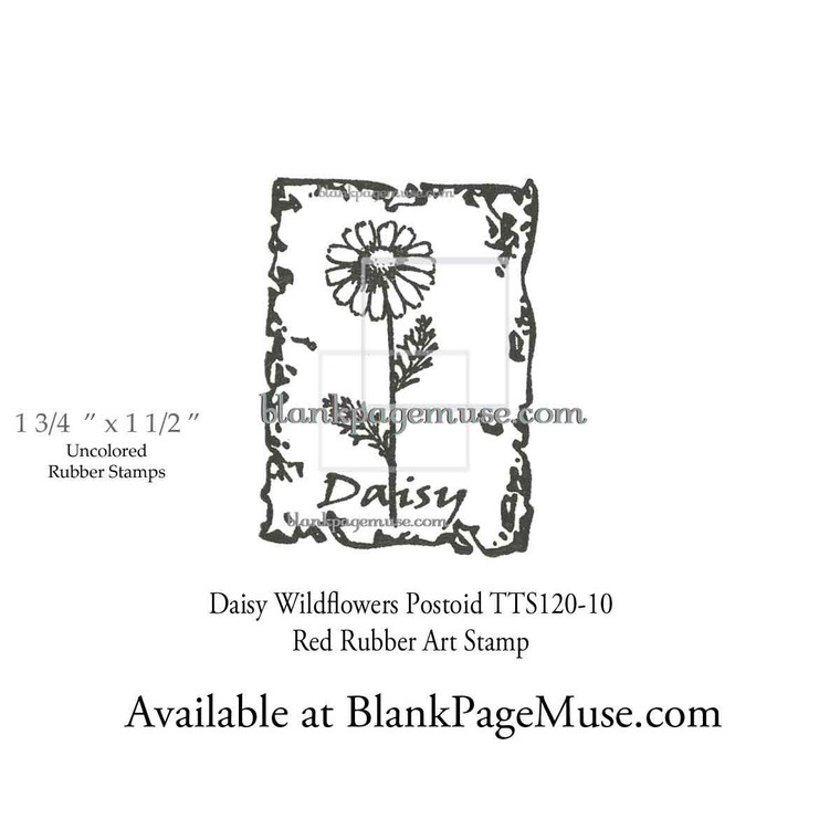 Daisy Wildflower Postoid Art Rubber Stamp TTS120-10