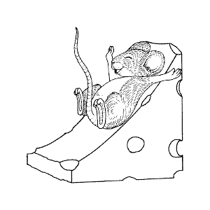 Mouse and Cheese Slide 1