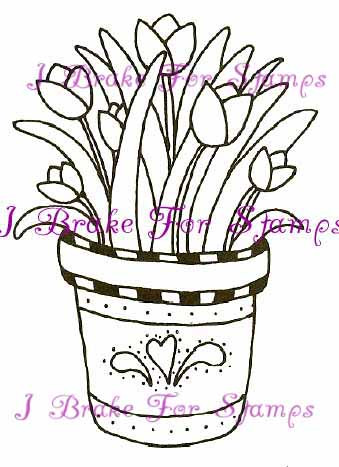 Potted Tulips
