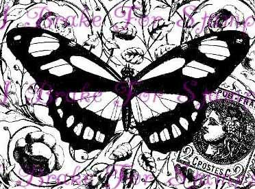 Zebra Butterfly Collage