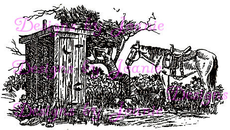 Horse and Outhouse