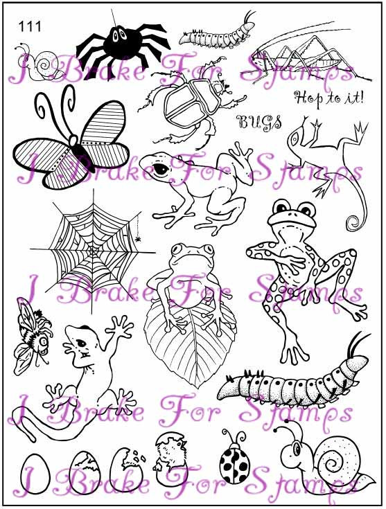 MS111 Bugs and Reptiles