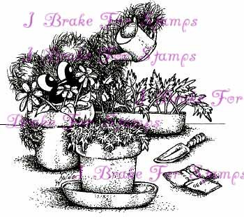 Watering Garden Shy Bear