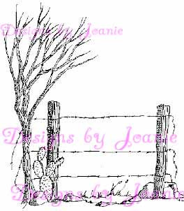 Barbed Wire Fence and Cactus