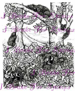 Climbing Trees Shy Bears