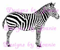 Zebra #2