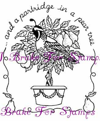 Partridge in a Pear Tree