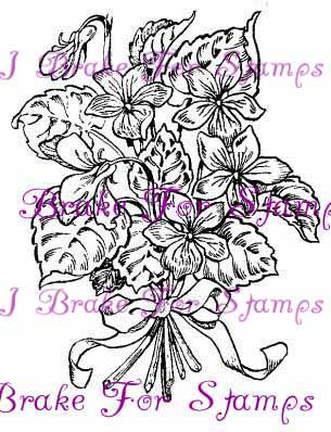 February Violets - Jumbo