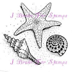 Starfish and Shells