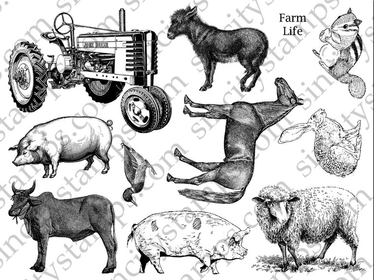 Farm Animals Art Rubber Stamp Sheet Set SC74
