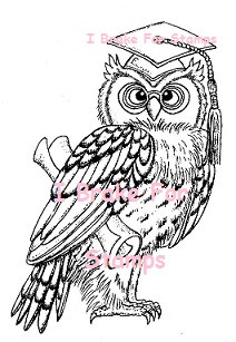Grad Owl