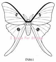Luna Moth - Large