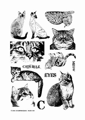 Cats Full Sheet 1