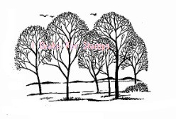 Silhouette Grove - Small