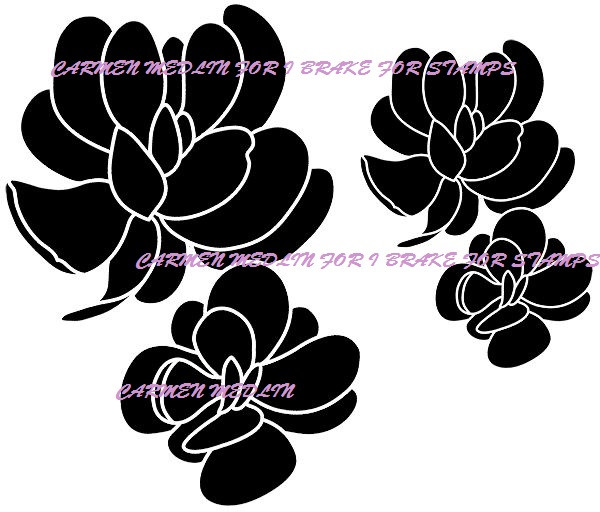 Jade Succulent Solid Set