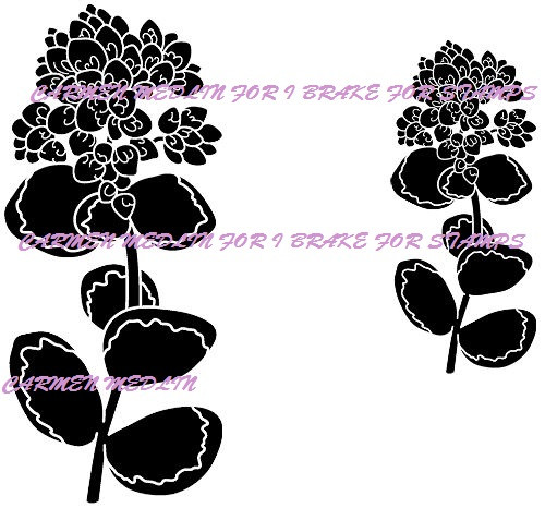 Seibold Succulent Solid Set