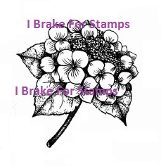 Lovely Hydrangea small rubber stamp