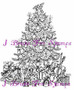 Tannenbaum