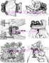 Shy Bears Plate 4 1