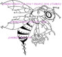 Steampunk Bee Ware rubber stamp