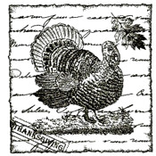 Thanksgiving and Fall