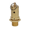 Boiler Safety Valve + Anti-vac Valve 1/2" BSPM 5965015.01