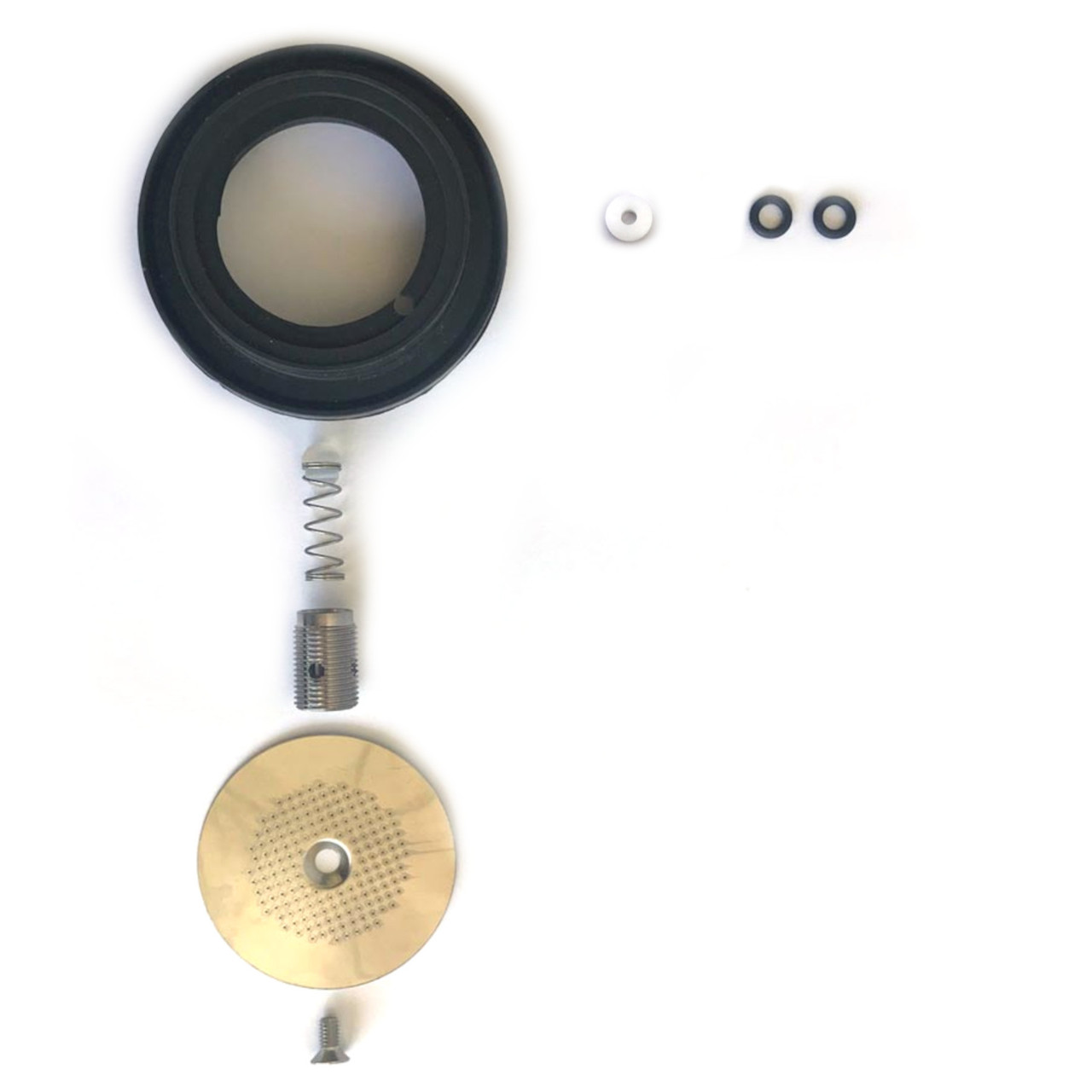 SAECO VIA VENEZIA Full Service Kit ESPRESSO MACHINE COMPANY