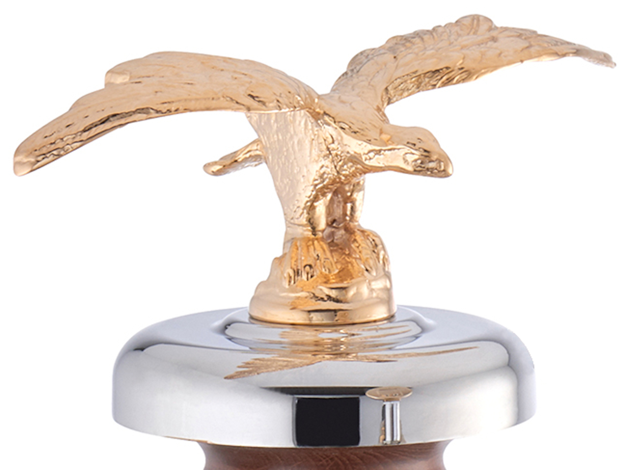 la-pavoni-esperto-competente-lplesc01au-16-eagle.jpg la-pavoni-esperto-competente-lplesc01au-16-eagle.jpg