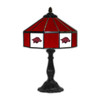 359-3022, Arkansas, AK,  Razorbacks , 21", Glass, Table, Lamp, FREE SHIPPING, NCAA, Imperial