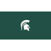 720801524160, 52-4016, 52-4016-8, 52-4016-9, Michigan State, Spartans, Billiard, Pool, Table, Felt, Cloth, 7', 8', 9', Multiple Sizes