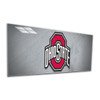 592-3015, Ohio State, Buckeyes, OSU, 4', Glass, Wall, Art, Artwork, NFL, Imperial,720801698847