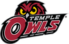 Temple Owls: Standard Black Pool Table Light