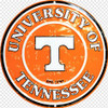 Tennessee Volunteers: Standard Orange Pool Table Light