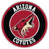 Arizona Coyotes: Standard Pool Table Light