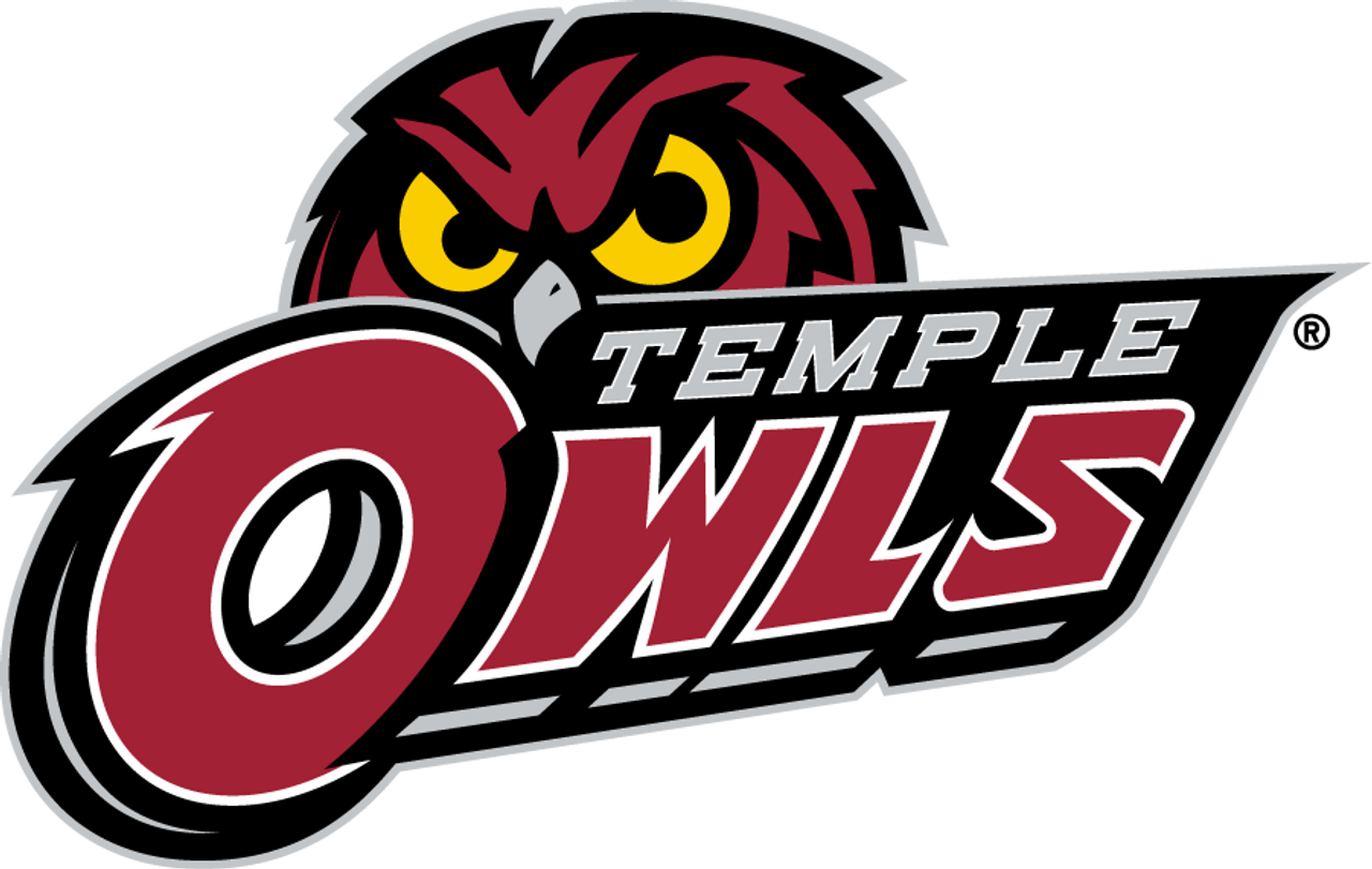 Temple Owls: Standard Red Pool Table Light