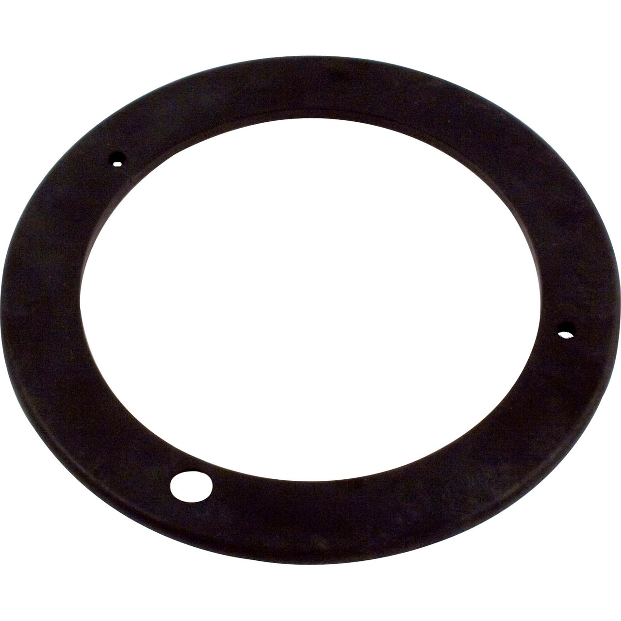 Pentair, Challenger, Mounting, Plate, 0.75, 3.0, HP, 355317, Spa, Filter, Parts, 788379658755